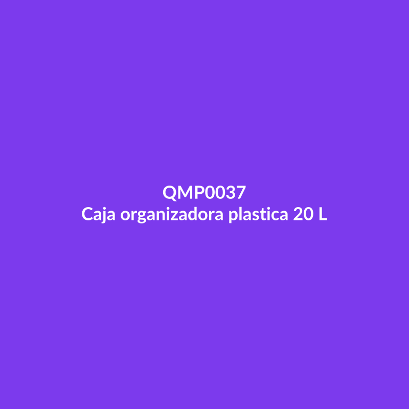 Caja organizadora plastica 20 L